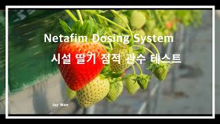 시설 딸기 점적 관수 테스트Irrigation test with NetaJet3G amp Streamline [upl. by Alohcin]