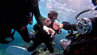 Dive in Costa Rica with ChrisDiving SSI dive center 06022024 [upl. by Yrred787]