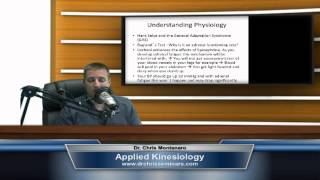 Applied Kinesiology  Intro To Applied Kinesiology [upl. by Celin585]