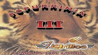 Cumbias con Garra Vol 3  Los Tigrillos Popurri Mix III [upl. by Submuloc]