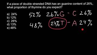 How to find percent of the bases in DNA 2 [upl. by Nylrehs]