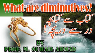 What are diminutives By Prof M Suhail Ahmad danishwarclub [upl. by Arlie]