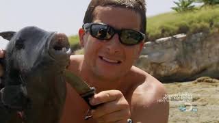 Bear Grylls Eats  Man Vs Wild Season 4 Eating Compilation 1080PHD [upl. by Anail]