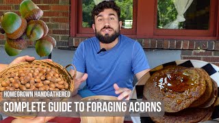 How to Sustainably Forage and Cook Acorns Acorn Flour Pancakes [upl. by Crooks]