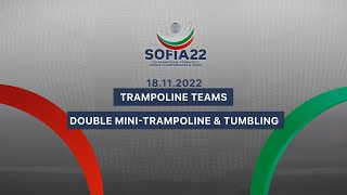 Finals Day 2  2022 Trampoline Gymnastics World Championships Sofia BUL [upl. by Stormy]