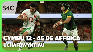 Uchafbwyntiau Cymru v De Affrica  Wales v South Africa Highlights  Cyfres yr Hydref  S4C [upl. by Scornik]