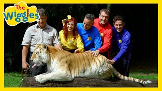 There Are So Many Animals 🐅🦁🐒 Animals Songs for Kids with The Wiggles [upl. by Divod827]