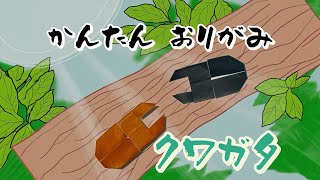 【折り紙】 ゆっくり解説 夏！カブトムシ【簡単折り紙】 [upl. by Gignac]