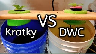 Kratky Vs DWC Hydroponics Competition Which One Is Better [upl. by Anoirb]