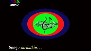 Snehathin    malayalam christian devotional song [upl. by Namra]