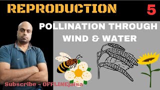 POLLINATION THROUGH ABIOTIC AGENTS [upl. by Yatnahs]