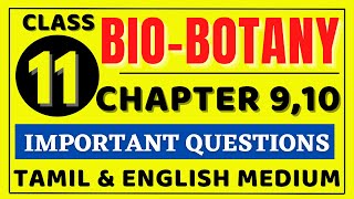 11th Bio Botany Chapter 9 important Questions  11th Bio Botany Chapter 10 important Questions [upl. by Brookes]