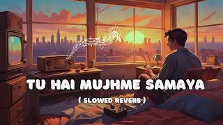 Tu hai mujhme samaya song  new version [upl. by Nyleuqcaj603]