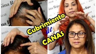 Cubrir canas difíciles Técnica de prepigmentación AprendeConGina [upl. by Ydaj]