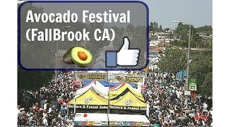 Avocado Festival FallBrook CA [upl. by Berrie572]