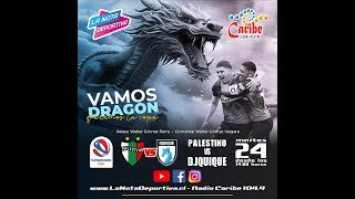 EN VIVO CD Palestino vs Deportes Iquique 25ta Fecha Campeonato Primera Itaú 2024 [upl. by Macfadyn]