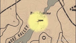 Brandywine Drop Treasure Location Red Dead Redemption Online [upl. by Ileray888]