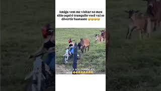 ENQUANTO GASOLINA TIVER🤣🤡 shortvideo comedia humor shorts [upl. by Juetta634]