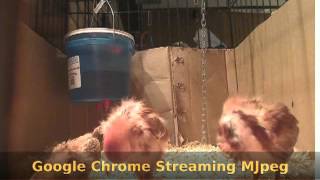 Firefox vs Chrome streaming MJpeg [upl. by Chellman]