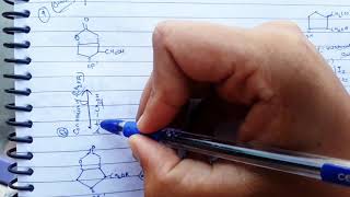 Synthesis of Prostaglandins PGE1 PGE2 PGF1alpha  PGF2alpha [upl. by Ard]