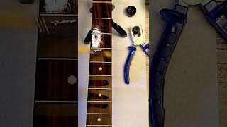 Satisfying Guitar Restoration in Under 1 Minute  Surprise Guest 🎸🐻 GuitarRestoration [upl. by Keppel332]