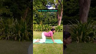 🧘‍♀️😊3 asanas for lower back pain shirts catcowpose cobrapose childpose [upl. by Cynth335]