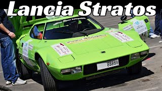 Lancia Stratos HF Stradale  V6 Ferrari Dino Engine StartUp amp Sound  70s Rally Masterpiece [upl. by Anawed]