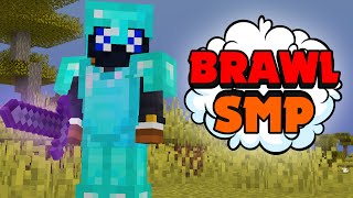 BrawlSMP Grinding Stream type shi MEMBERS DONT WATCH [upl. by Lauber342]