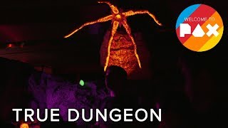 True Dungeon  Welcome to PAX South 2017 [upl. by Eelhsa]