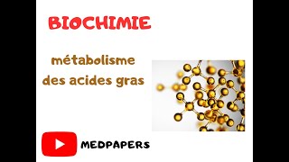 Biochimie Métabolisme des acides gras [upl. by Nilram647]