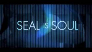 Seal  Soul Sizzle Reel Official Music Video [upl. by Noell]