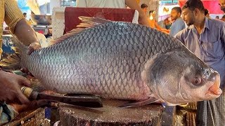 Amazing Fish Cutting Skill  Giant Fish Cutting Skill Worker  Fish Recipe  Most Viewed Video [upl. by Yleek]