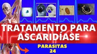 TRATAMENTO DA ASCARIDÍASE LOMBRIGA  COMO ACABAR COM AS LOMBRIGAS  PARASITOLOGIA  INFECTOLOGIA [upl. by Favrot]