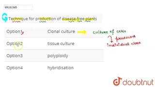 Technique for production of diseasefree plants [upl. by Atelahs174]