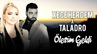 Xece Herdem X Taladro  ÖLESİM GELDİ mixed by Kezer Prod prod by Tolga Arslan Beatz [upl. by Ericha]