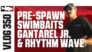 Fishing PreSpawn with the Jackall Gantarel Jr amp Rhythm Wave with Jared Lintner  TW VLOG 350 [upl. by Malva]