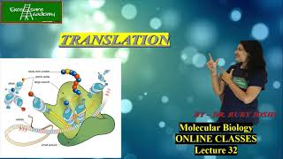 MolecularBiology Lecture32 Mechanism of Translation Ribosome and mRNA movement [upl. by Reynolds]