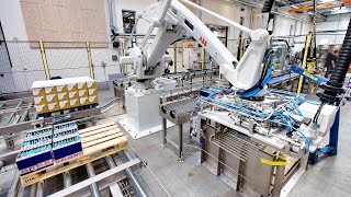 Fully automatic robot palletising system for boxes [upl. by Currie98]