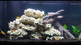 Setting Up a 65 Gallon African Cichlid Aquarium [upl. by Estren465]