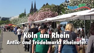 Köln  Antikmarkt am Rheinufer  RheinEifelTV [upl. by Donelu]