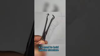 Babcock Forceps orloxsurgicalinstruments orloxsurgical orloxinstruments surgeon medical health [upl. by Ostap845]