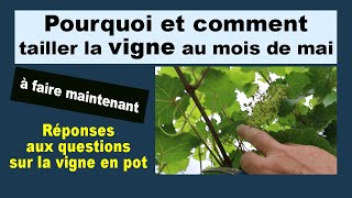 Pourquoi et comment tailler la vigne au mois de mai [upl. by Madalena167]