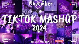 Tiktok Mashup November 💜2024💜 Not Clean [upl. by Gass]