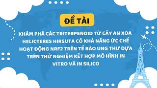 EURÉKA 2024 KHYD  Kphá các triterpenoid từ cây an xoa Helicteres hirsuta có knăng ức chế [upl. by Nenad]