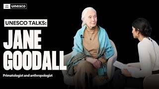 UNESCO Talks interview with Dr Jane Goodall [upl. by Avid824]