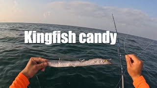 Chasing King Mackerel on a slow day in Freeport Texas [upl. by Ahserak24]