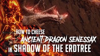 How to Cheese Ancient Dragon Senessax in Shadow of the Erdtree Easy Kill [upl. by Ennahoj]