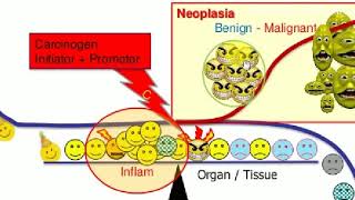 NEOPLASIA  1  Basics  PATHOLOGY LECTURES [upl. by Theron]