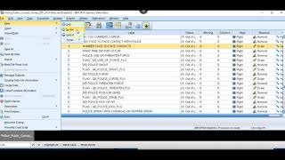 Running QUICK Frequencies in SPSS using Syntax [upl. by Mauchi]