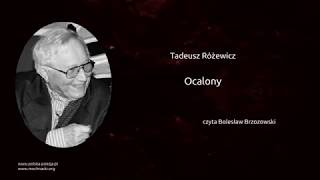 Tadeusz Różewicz  Ocalony [upl. by Adamok386]